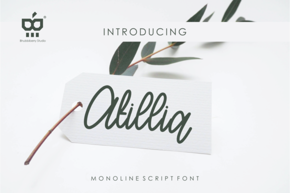 Atillia: A Font That Speaks Volumes