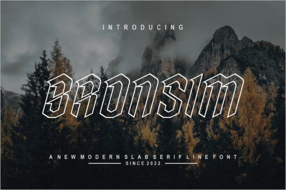 Bronsim: A Stylish Font for Web Design
