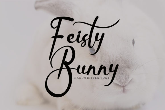 Feisty Bunny: A Font That Speaks Volumes