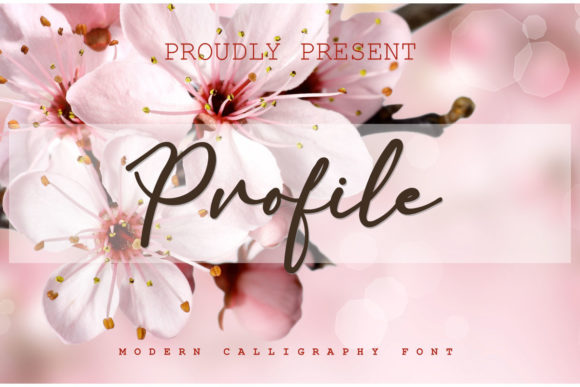 Profile: A Classy Handwritten Font