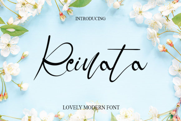 Reinata: A Stylish Handwritten Font